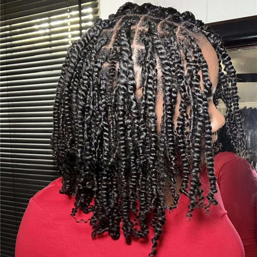 Bulk Hair for Braiding 100% Human Hair Braid Mini Twist Extensions Afro Kinky Curly