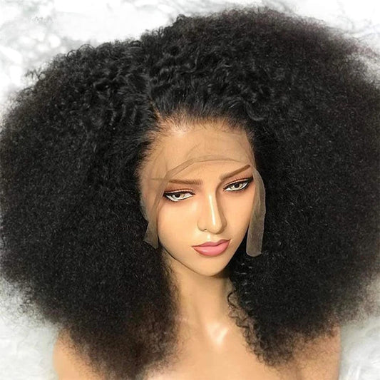 13x4/13x6 Afro Kinky Curly Glueless Pre Plucked Transparent Lace Front Human Hair Wig
