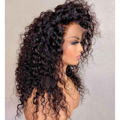 【BIG SALE】NEW “SUPER Pre-plucked HD Lace” 13x6 Lace Front Wig Curly Wave